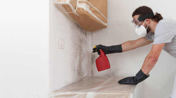 Professional Black Mold Removal technician working in Hazlet, NJ