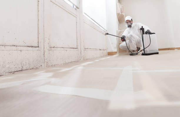 24/7 Emergency Black Mold Removal experts in Hazlet, NJ