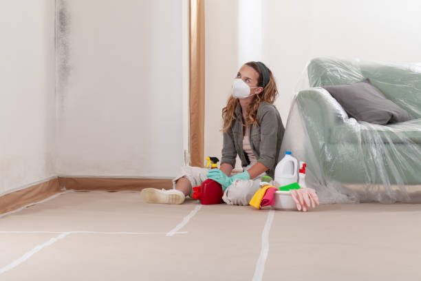 Reliable Black Mold Removal contractor in Hazlet, NJ by WQB Mold Removal